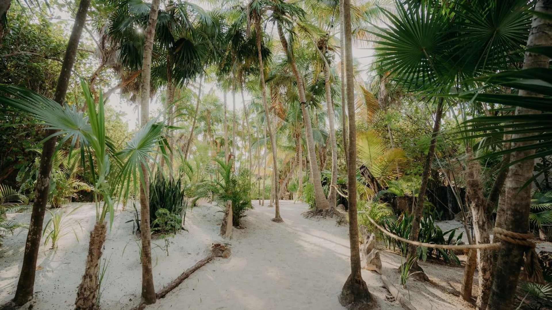 Luxury Studio With Rooftop Pool In Tulum Best Location 0*,