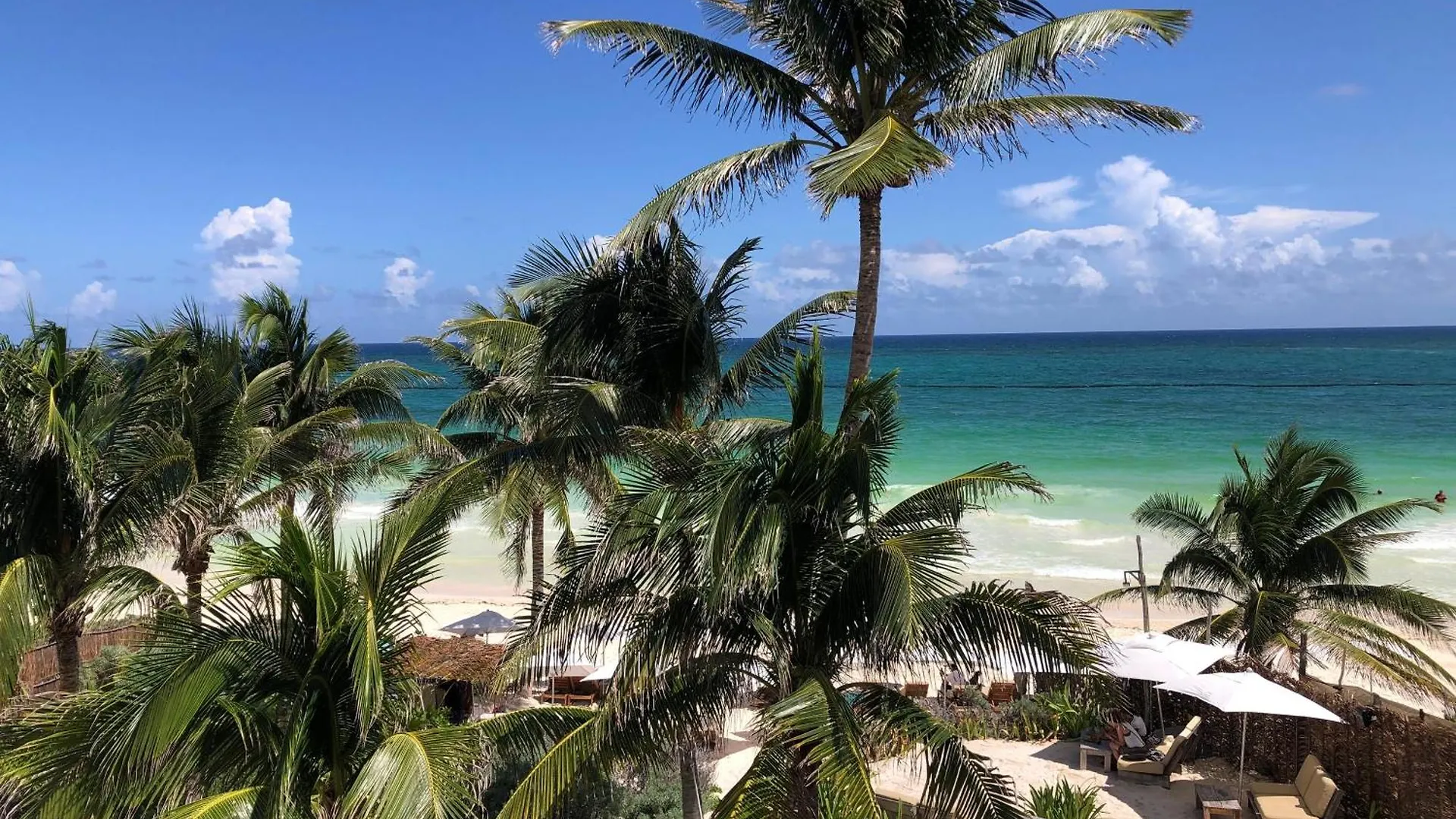 Luxury Studio With Rooftop Pool In Tulum Best Location