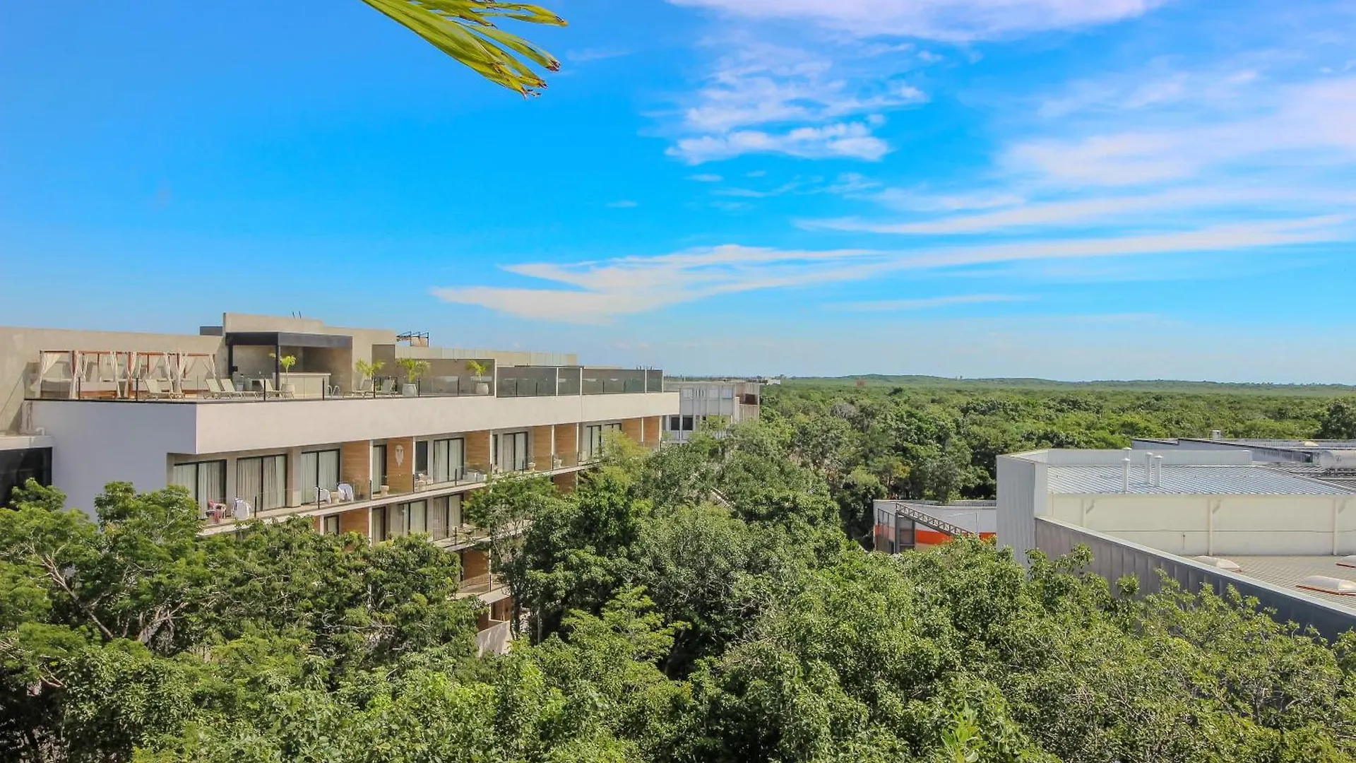 Luxury Studio With Rooftop Pool In Tulum Best Location