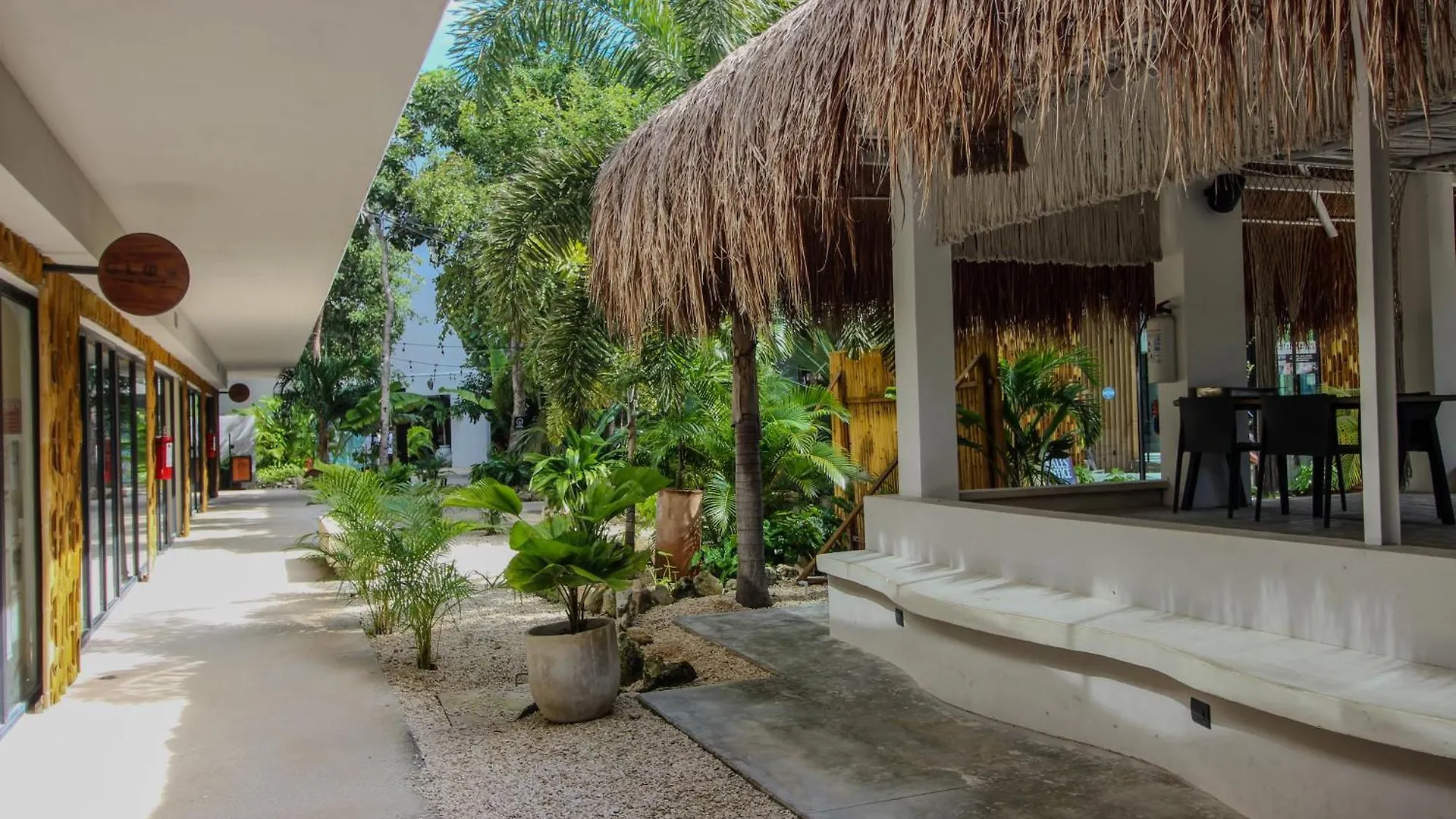 Luxury Studio With Rooftop Pool In Tulum Best Location Lejlighed